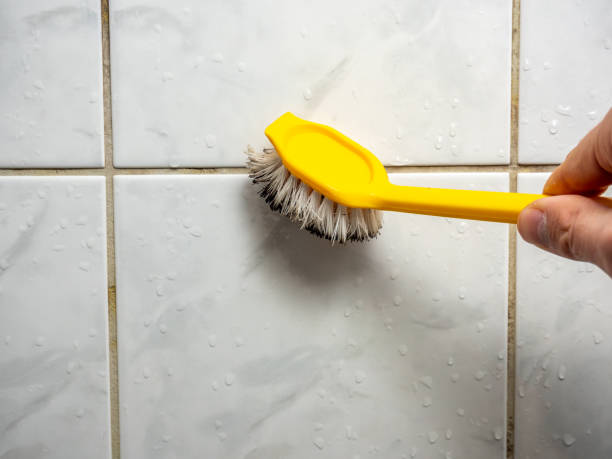 Trusted Whitemarsh Island, GA Mold Removal Experts