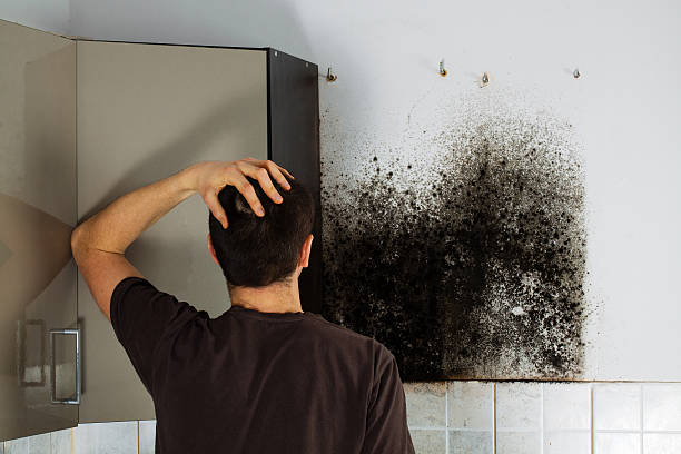 Certified Mold Removal in Whitemarsh Island, GA